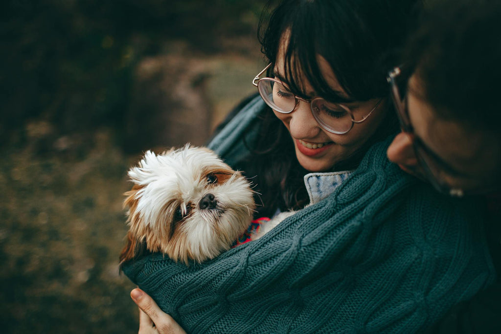 4 façons de rendre hommage à son animal décédé