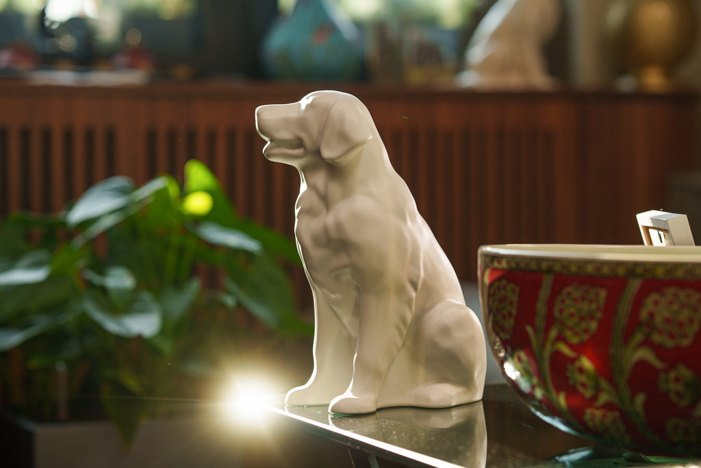 Urne pour Animal de Compagnie Golden Retriever - AVIS SUR LE PRODUIT 2024