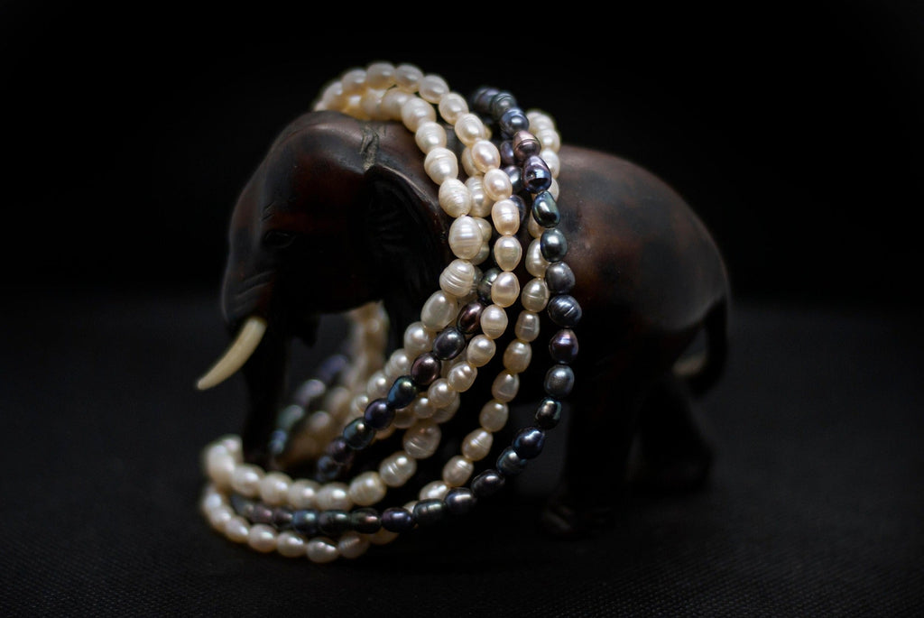 Des manières alternatives d’honorer un animal de compagnie – les bijoux commémoratifs