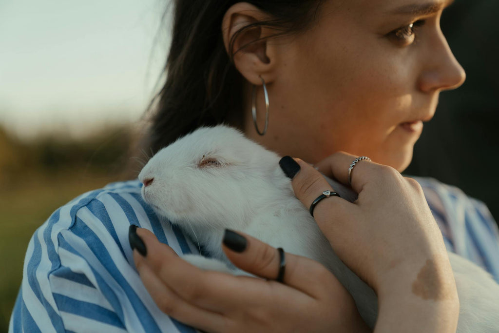 Laisser partir sans oublier : Est-il acceptable d’aller de l’avant après la perte d’un animal ?