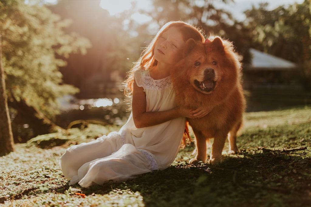 6 conseils à prendre en compte pour dire au revoir à un animal de compagnie