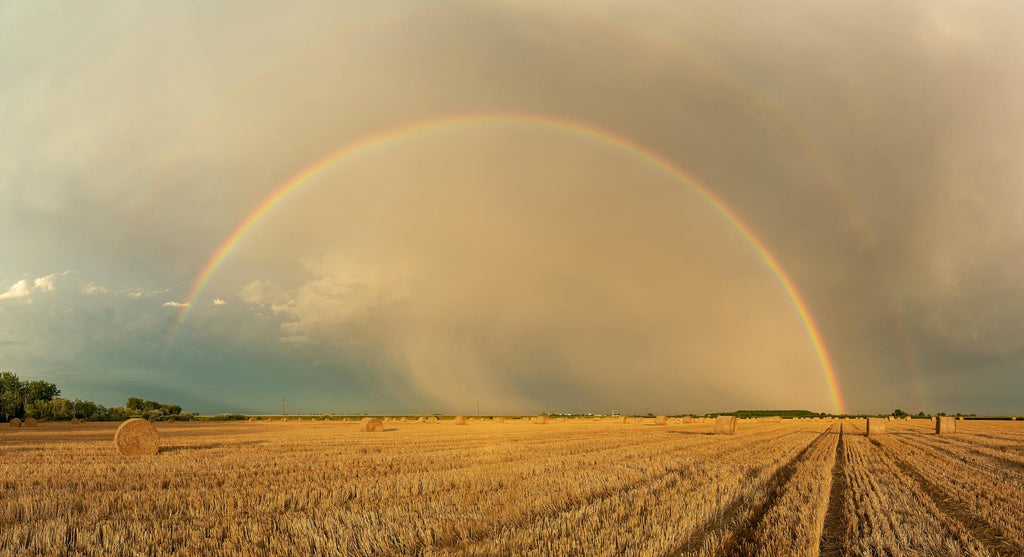  Qu’est-ce que le Pont de l’Arc-en-Ciel et pourquoi tant de personnes y trouvent du réconfort ?