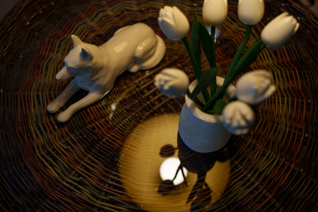 Urne Berger Allemand – Transparente | Urne pour animaux de compagnie | Céramique