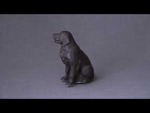 Urne Pour Animaux Golden Retriever - Noir | Urne en Céramique